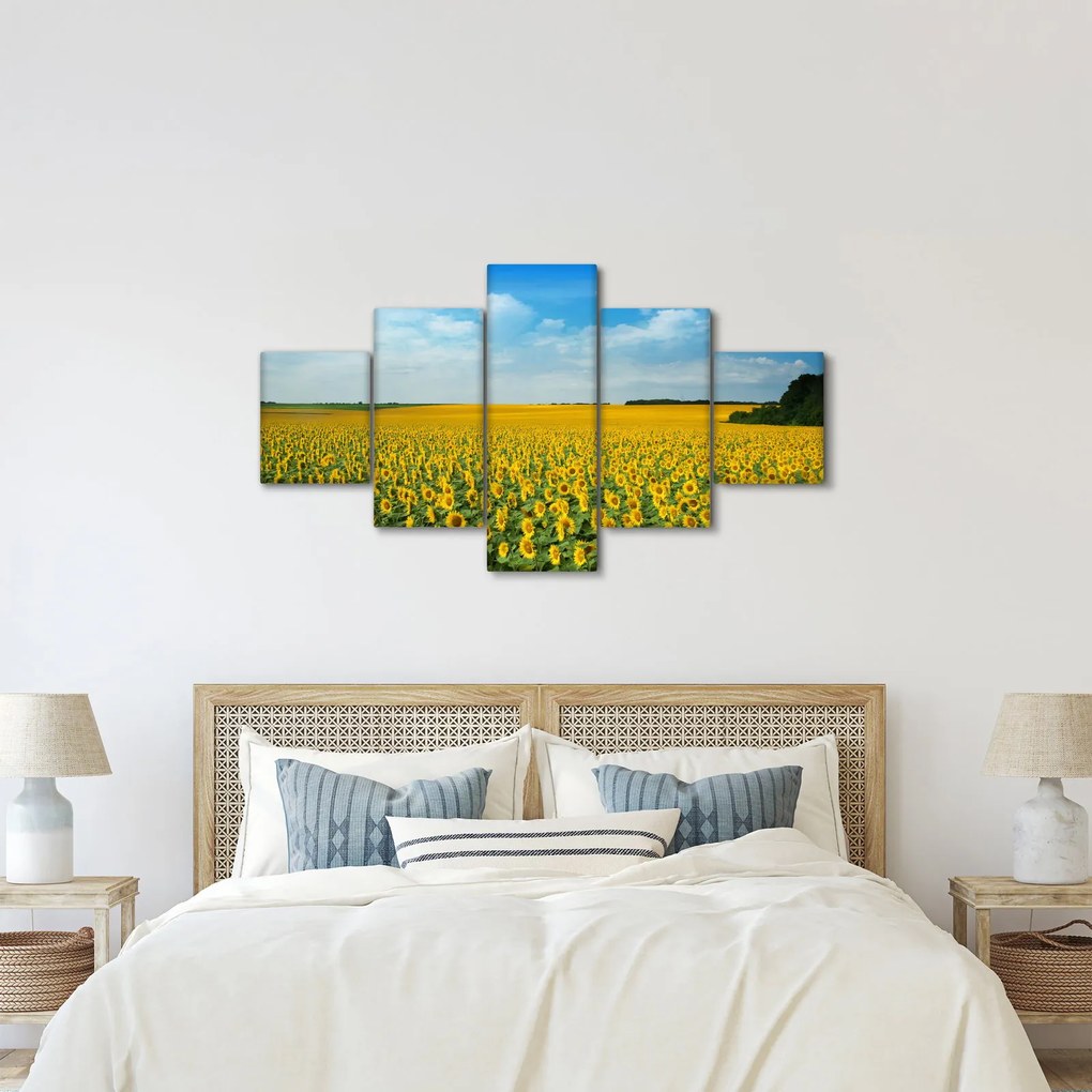 Obraz - ciąg słoneczników (125x70 cm)