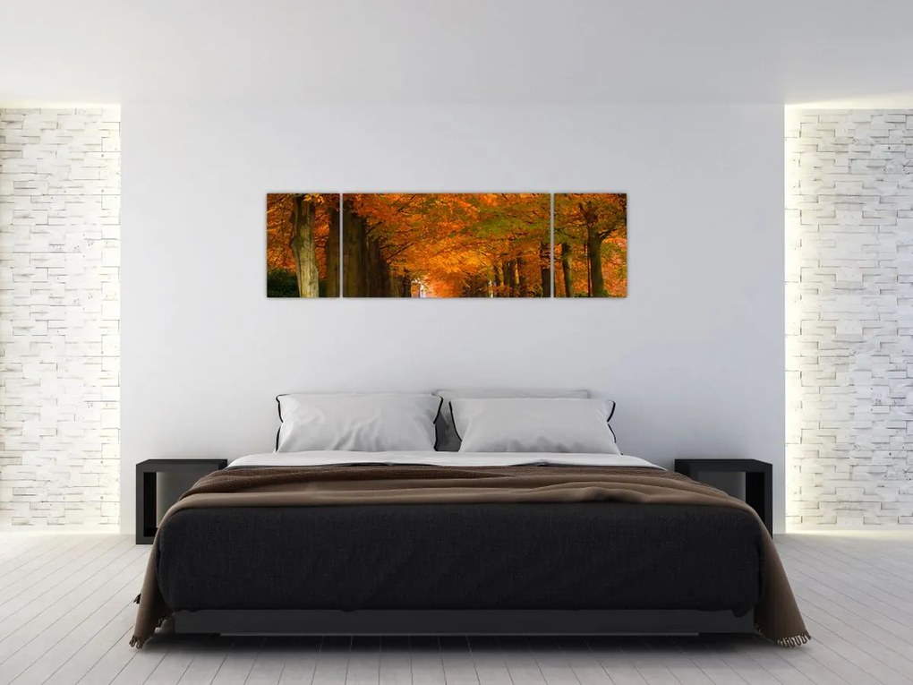 Obraz - Aleja drzew jesienią (170x50 cm)