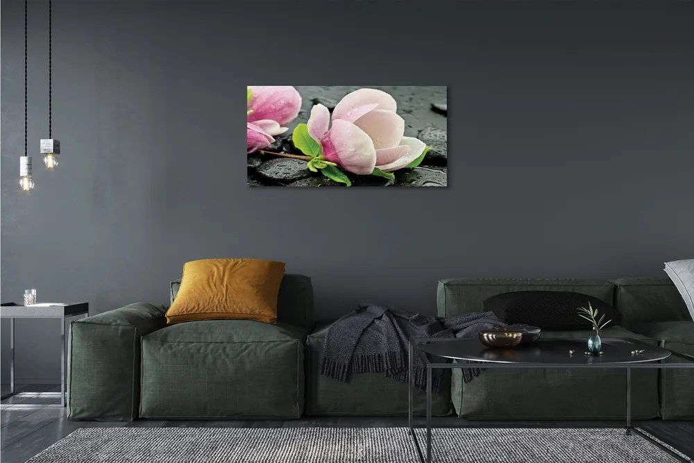 Obraz canvas na ścianę Magnolia i Kamienie