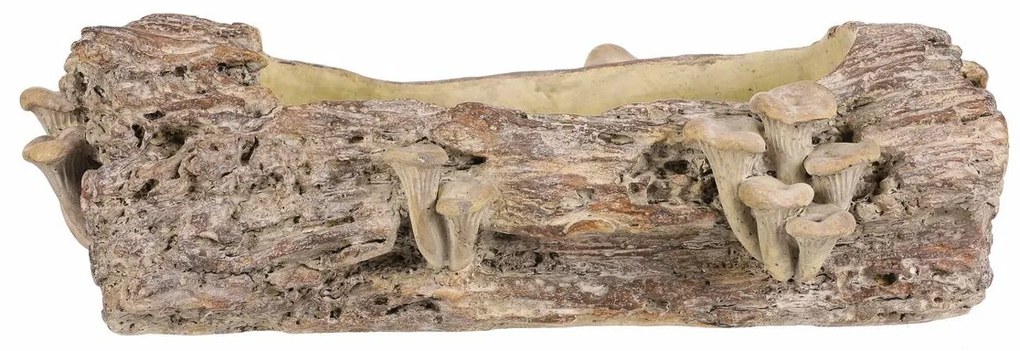 Opakowanie betonowe - skrzynka, drewno z grzybami,41 x 19 x 13 cm, brązowe