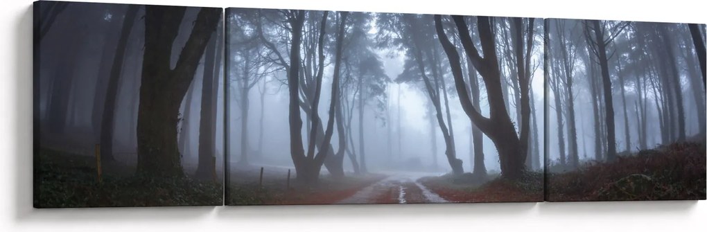 Obraz - W deszczowy dzień (170x50 cm)