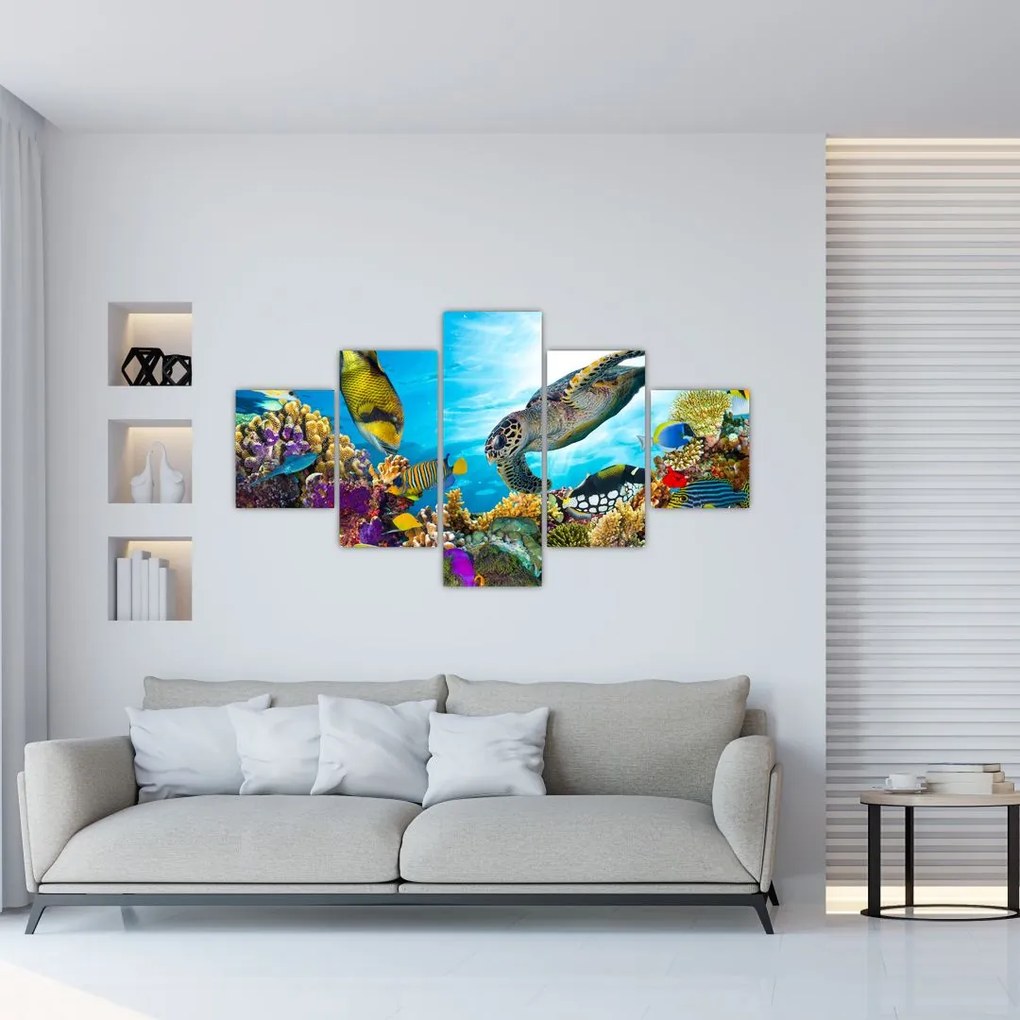 Obraz rafy koralowej (125x70 cm)