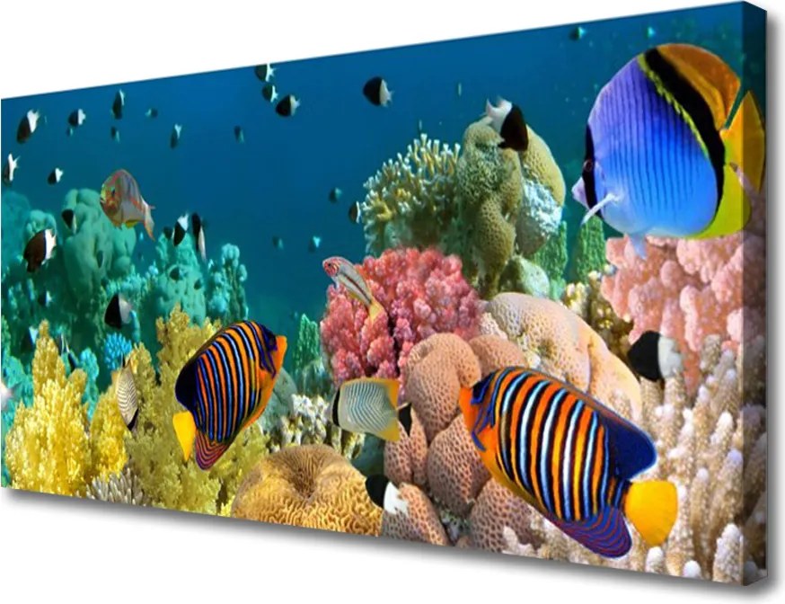 Obraz na płótnie Podwodny Świat Rafy