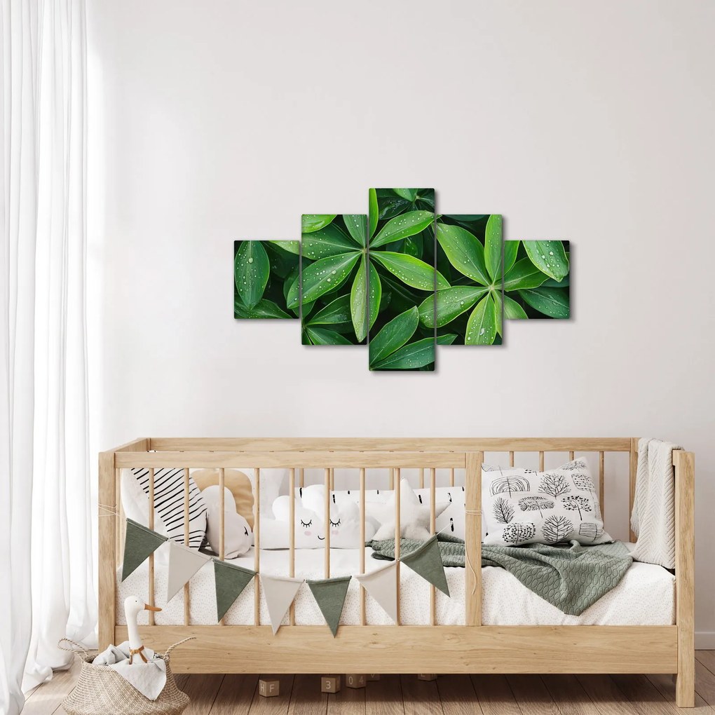 Obraz - Liście z kroplami rosy (125x70 cm)
