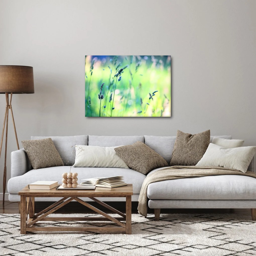 Obraz - Szczegół łąki (70x50 cm)