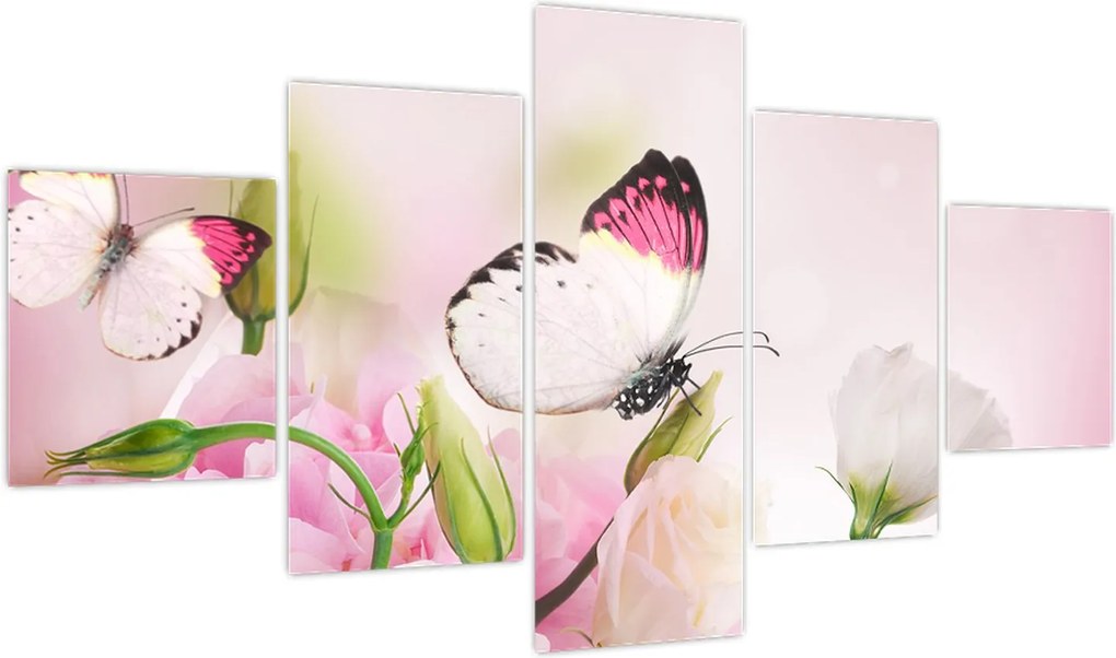 Obraz - Motyl (125x70 cm)