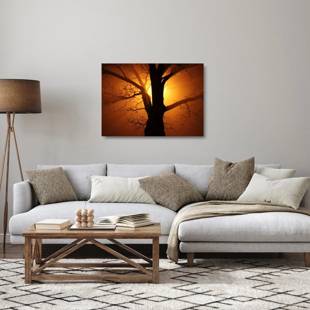 Obraz na szkle - drzewo o zachodzie słońca (70x50 cm)