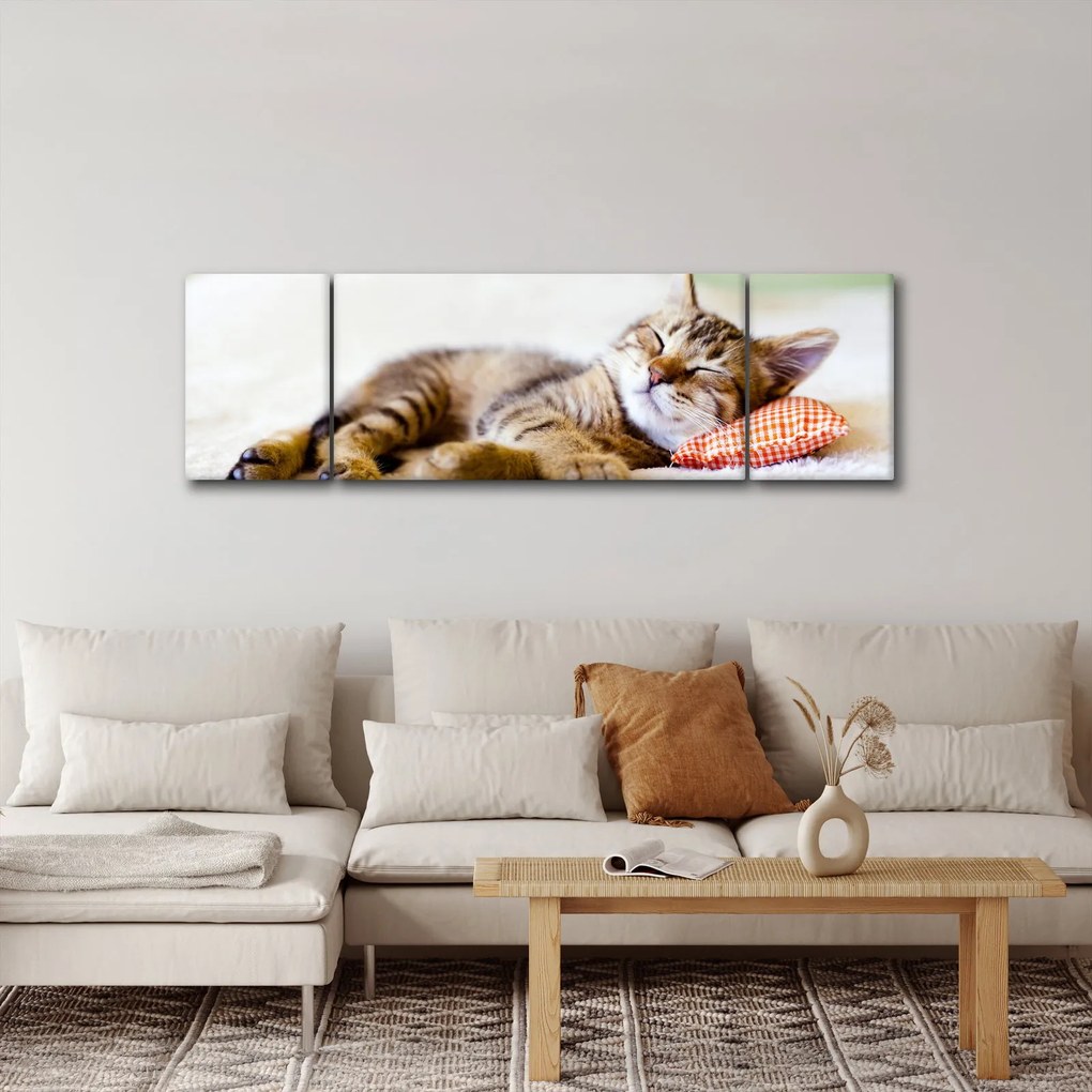 Obraz - Śpiący kotek (170x50 cm)