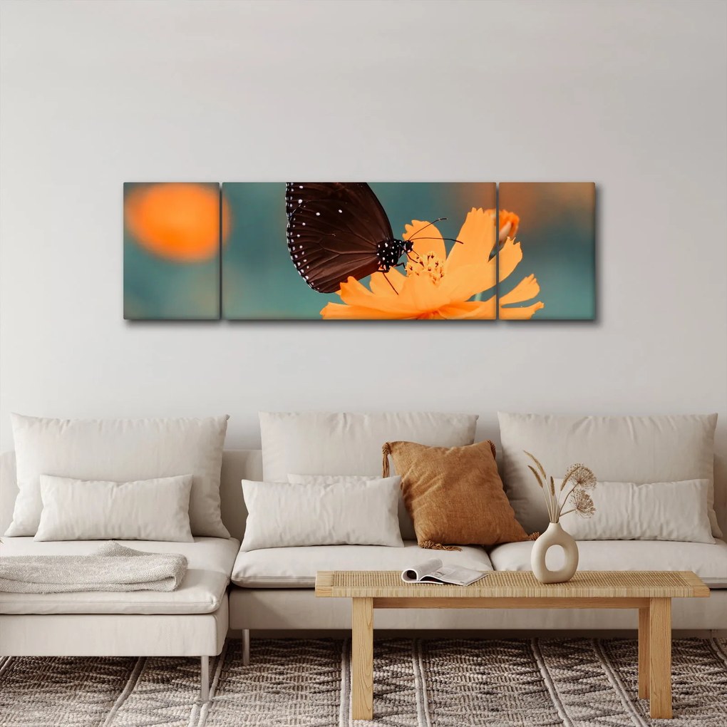 Obraz - motyl na pomarańczowym kwiatku (170x50 cm)