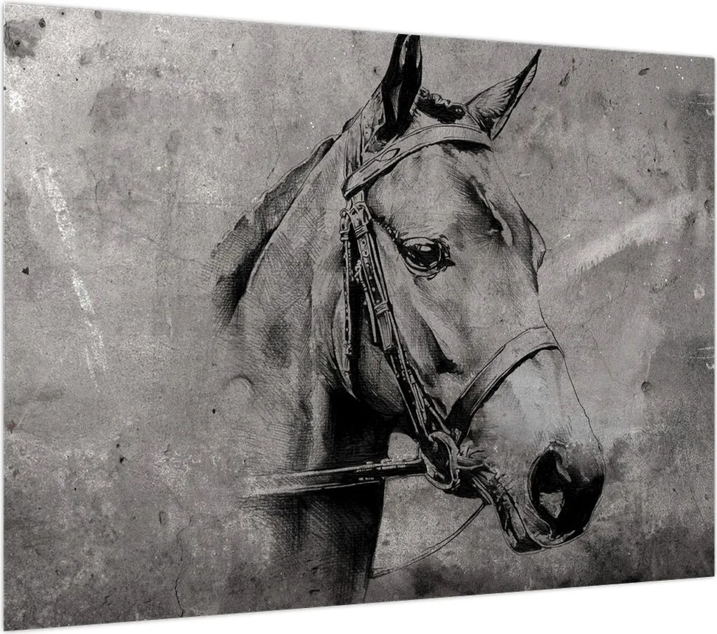 Obraz - Portret konia (70x50 cm)