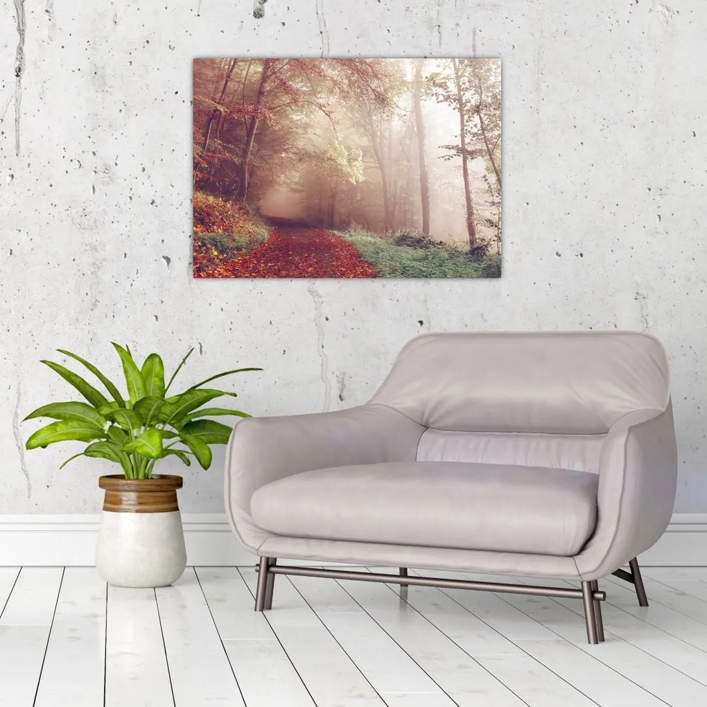 Obraz na szkle - Jesienny spacer po lesie (70x50 cm)