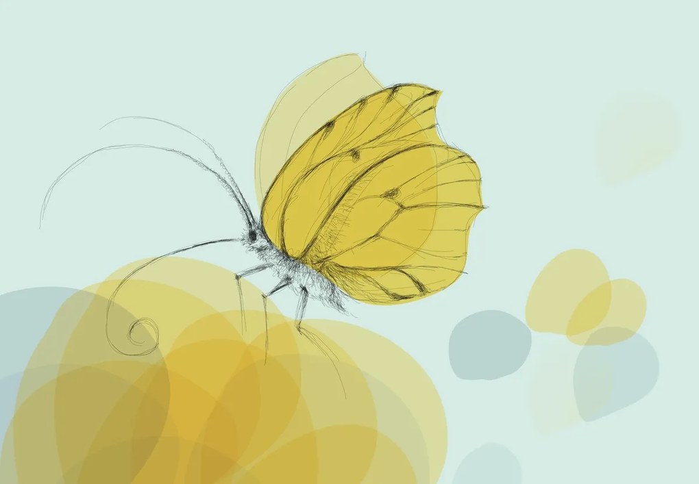 Fototapeta - Motyl (196x136 cm)
