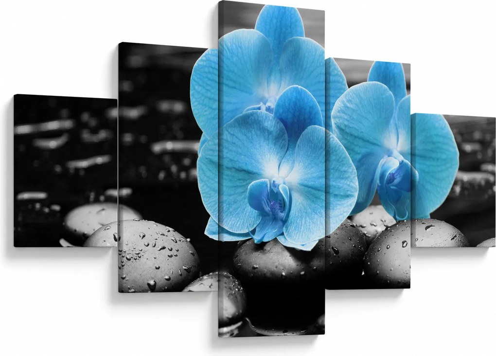 Obraz - Niebieska Orchidea (125x70 cm)