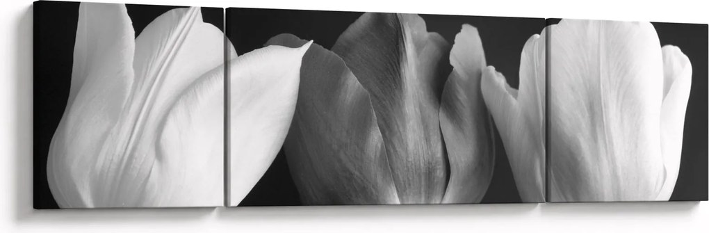Obraz - Czarno - białe kwiaty tulipanów (170x50 cm)