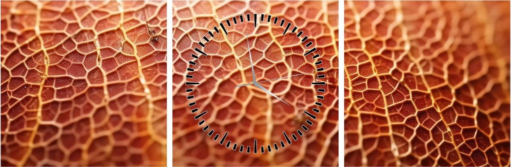 Obraz - Szczegóły tekstury (z zegarem) (90x30 cm)