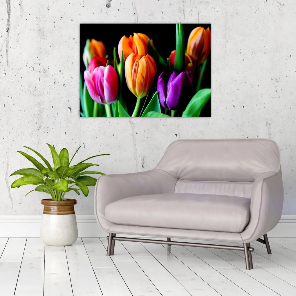 Obraz tulipanów na czarnym tle (70x50 cm)