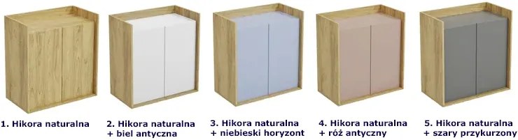 Szafka modułowa dwudrzwiowa hikora naturalna - Afilia 10X