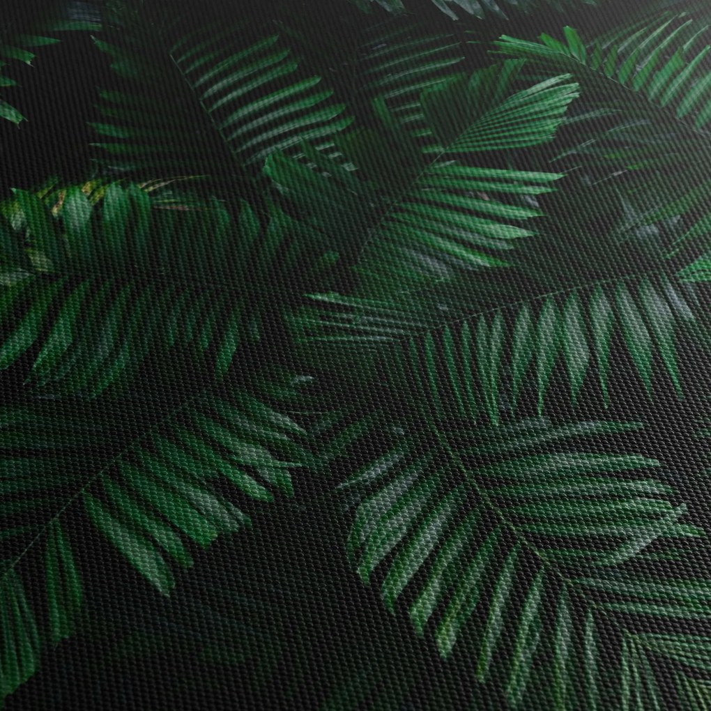Obraz - Paprocie tropikalne (z zegarem) (90x30 cm)