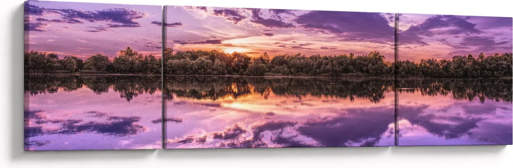 Obraz fioletowego nieba (170x50 cm)