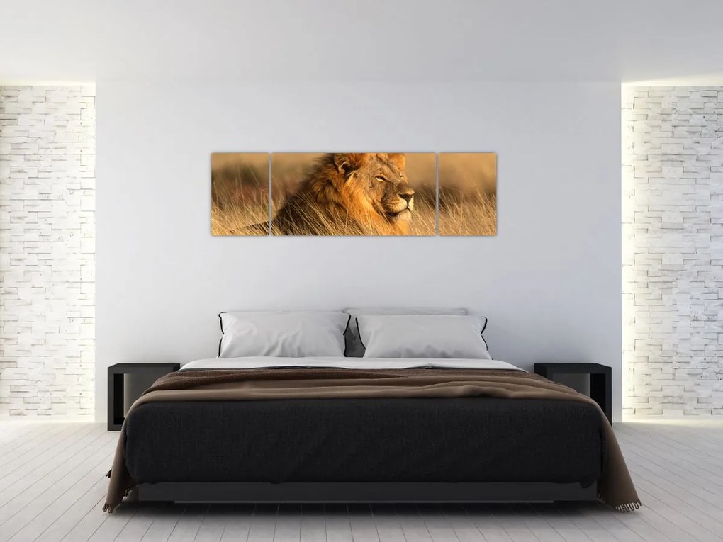 Obraz - Park Narodowy Etosha (170x50 cm)
