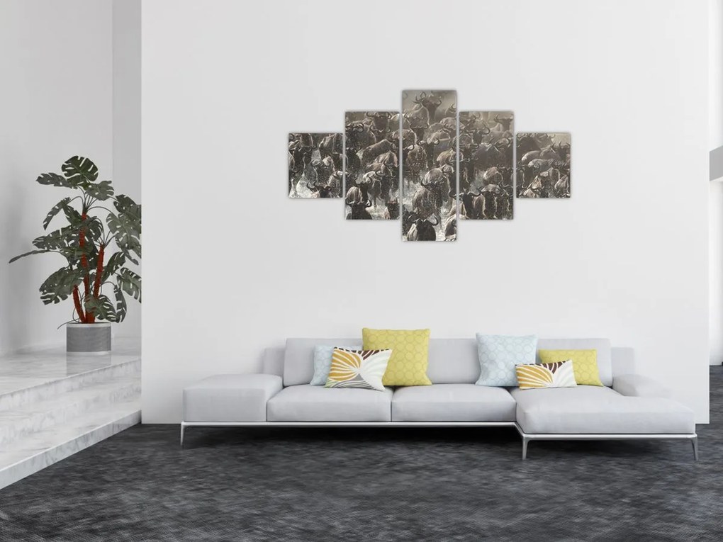 Obraz - Stado antylop gnu (125x70 cm)