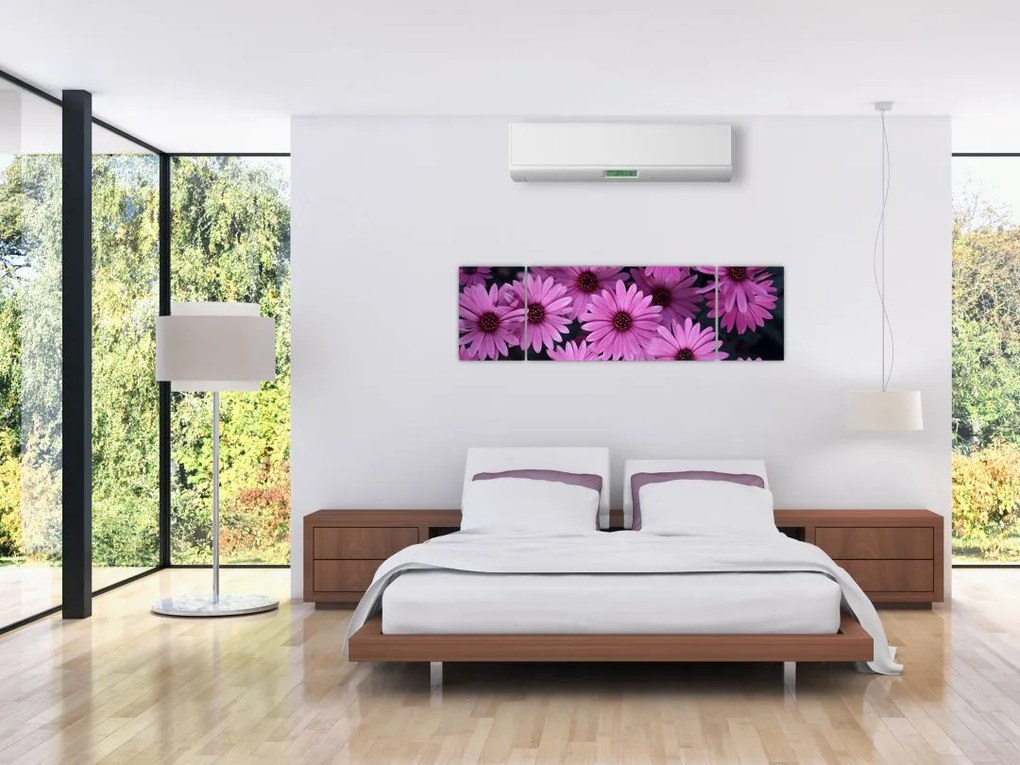 Obraz różowych kwiatów (170x50 cm)