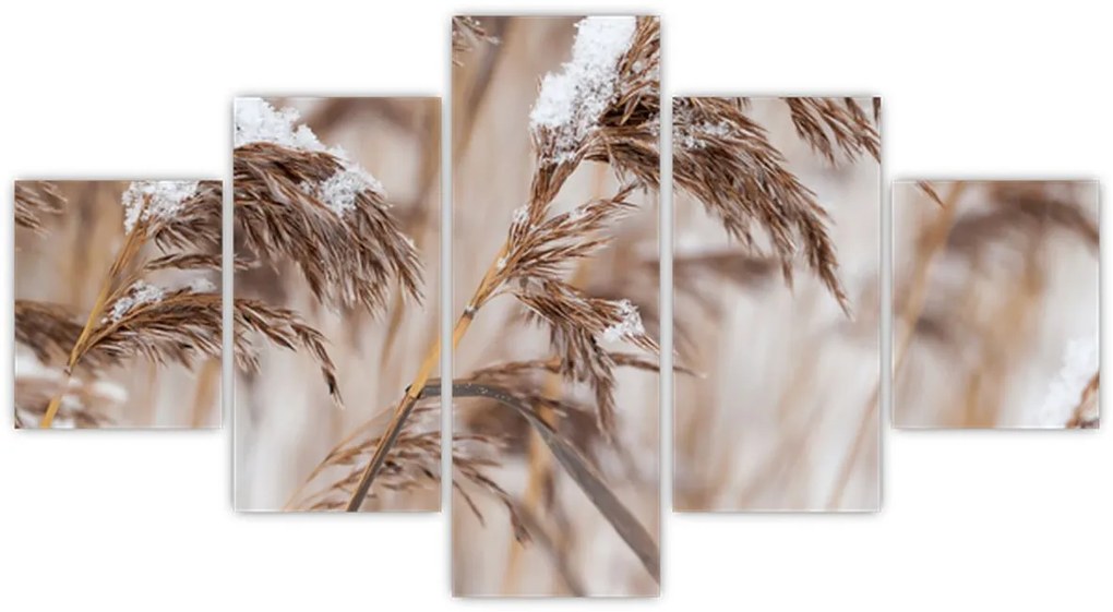 Obraz - Lipnice (125x70 cm)