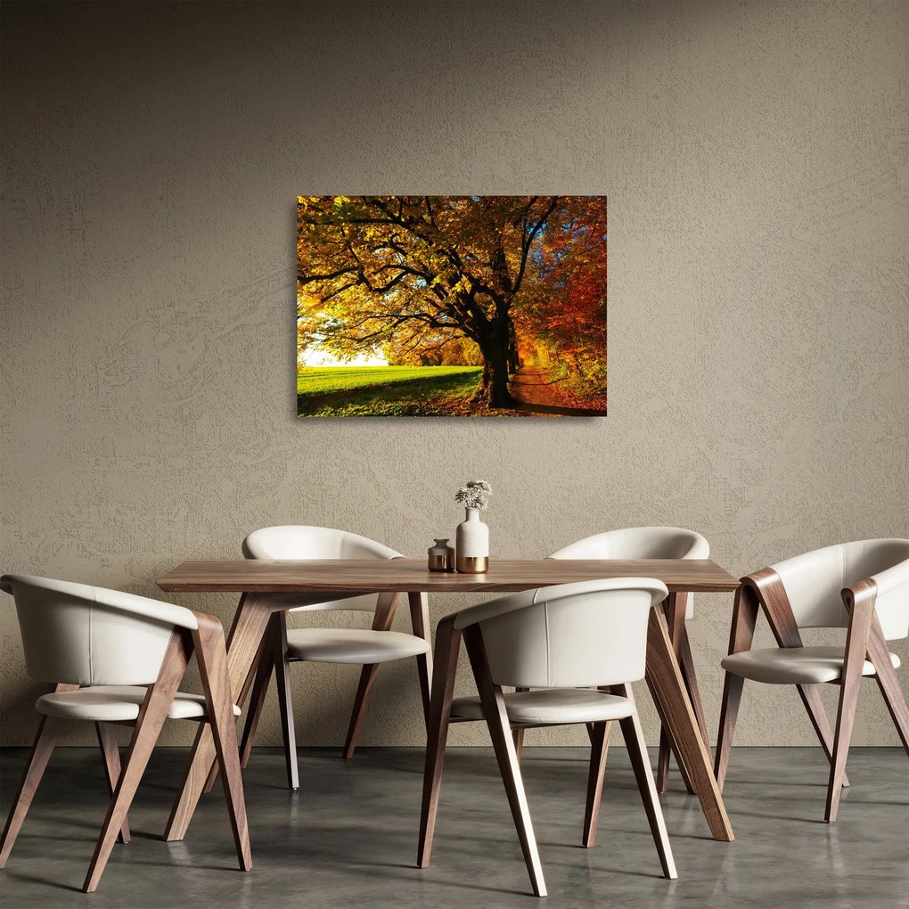 Obraz na szkle - jesień (70x50 cm)