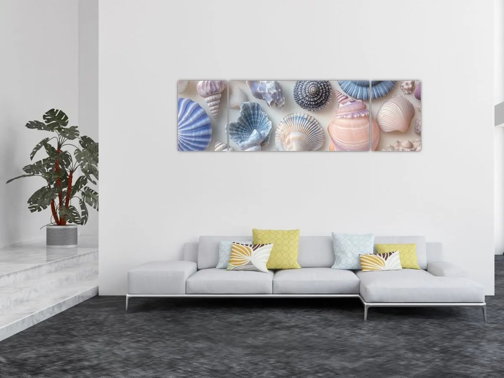 Obraz - Kolekcja muszli (170x50 cm)