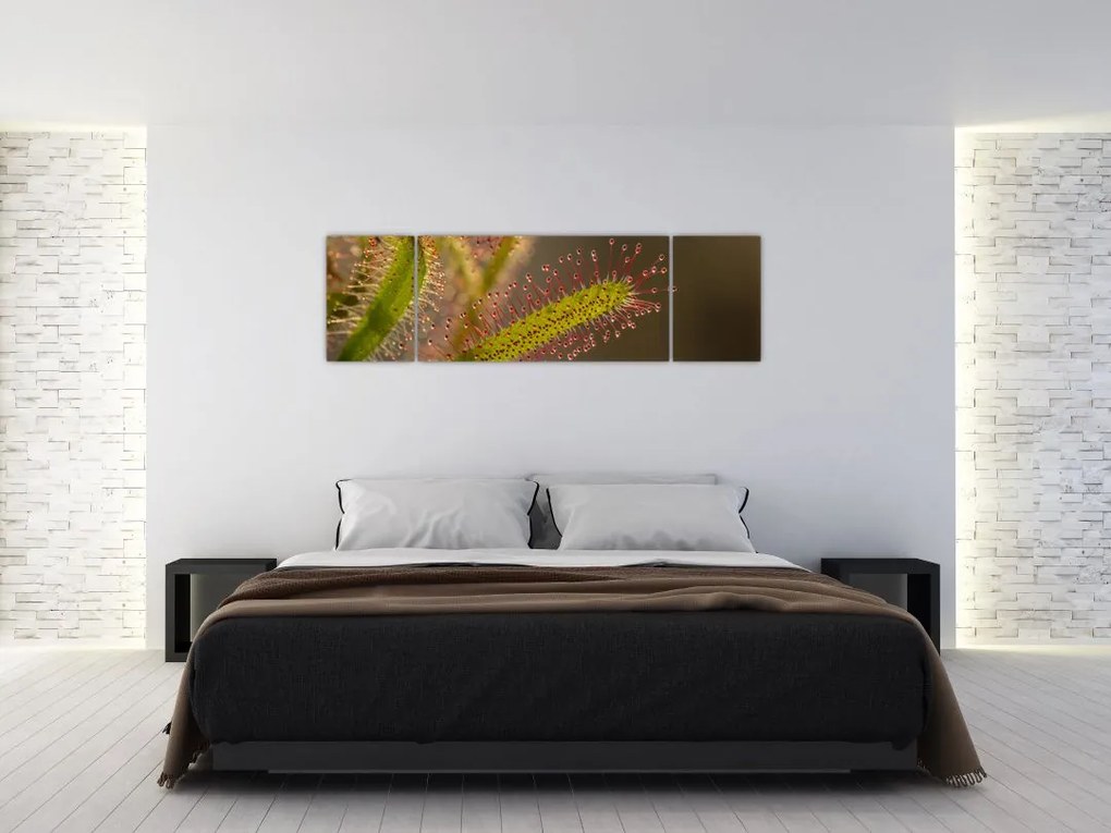 Obraz rośliny (170x50 cm)