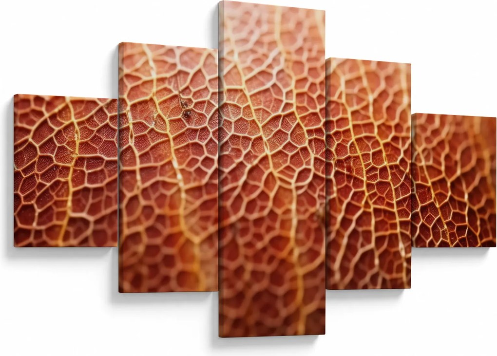 Obraz - Szczegóły tekstury (125x70 cm)