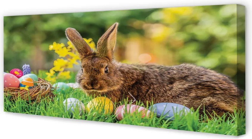 Duży obraz na płótnie Zając Wielkanocny na Łące