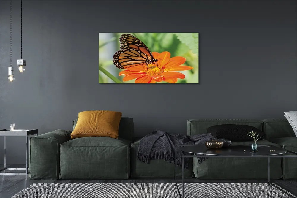 Obraz drukowany na płótnie Kwiat i Kolorowy Motyl
