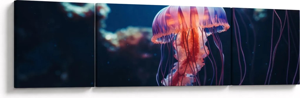 Obraz - Meduza (170x50 cm)