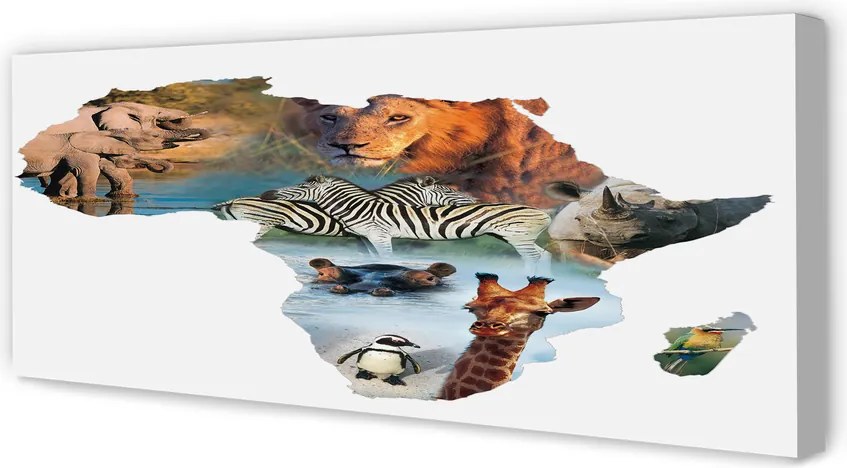 Duży obraz na płótnie Zebra, Żyrafa i Tygrys