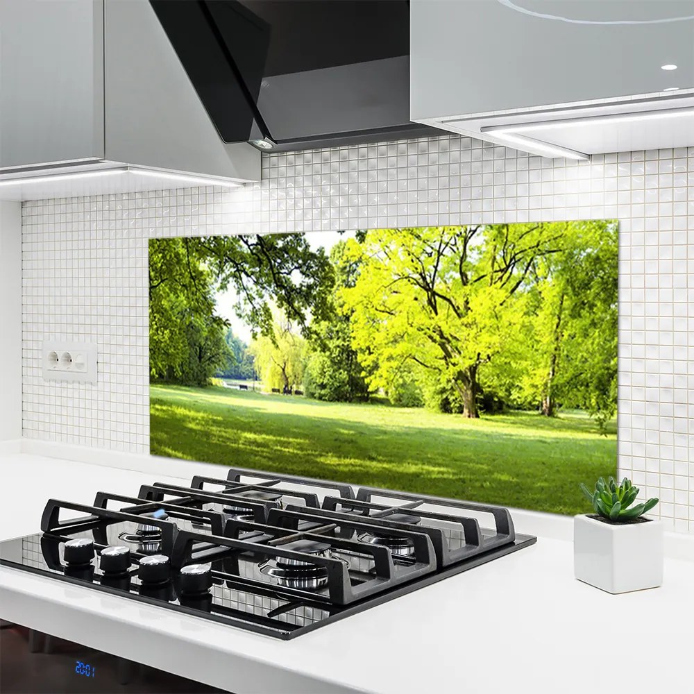 Panel Szklany Parkowa Aleja w Słońcu