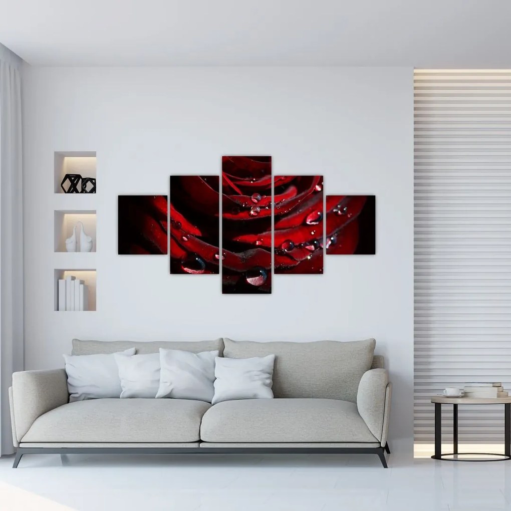 Obraz - Detal róży (125x70 cm)