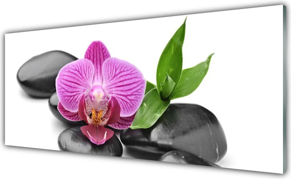 Szkło do Kuchni na Ścianę Symbol Spokoju: Kamienie i Kwiat