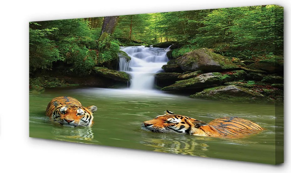 Duży obraz na płótnie Tygrysy przy Wodospadzie