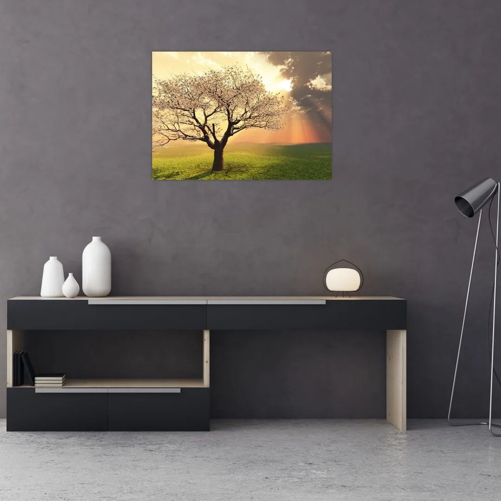 Obraz drzewa na łące (70x50 cm)