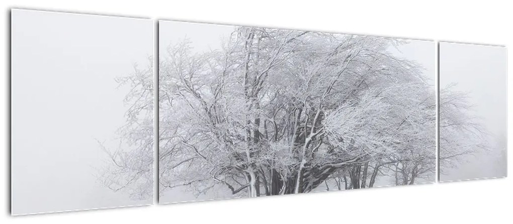 Obraz - Biała zima (170x50 cm)