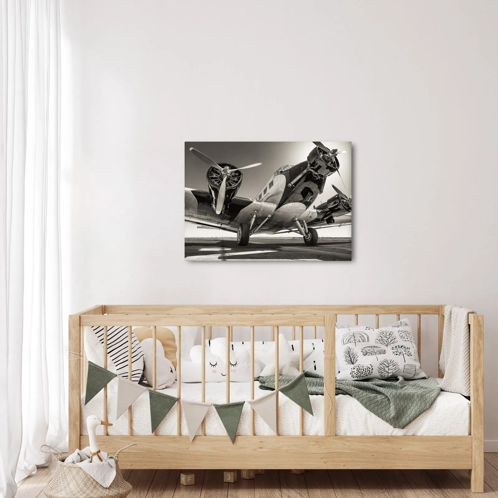 Obraz - Historyczne samoloty (70x50 cm)