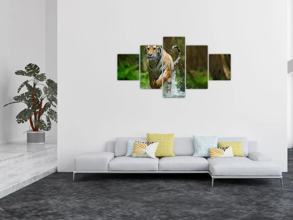 Obraz biegnącego tygrysa (125x70 cm)
