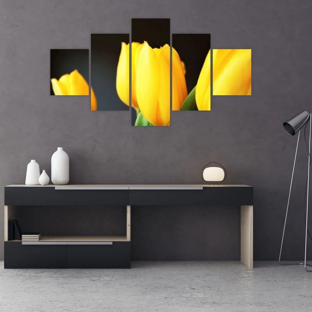 Obraz tulipanów (125x70 cm)