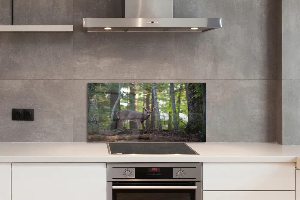 Panel nad Blat Kuchenny Spotkanie z Jeleniem w Puszczy