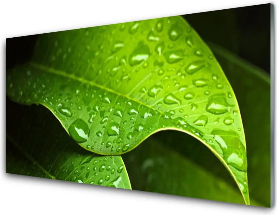 Panel Kuchenny Krople Porannej Rosy