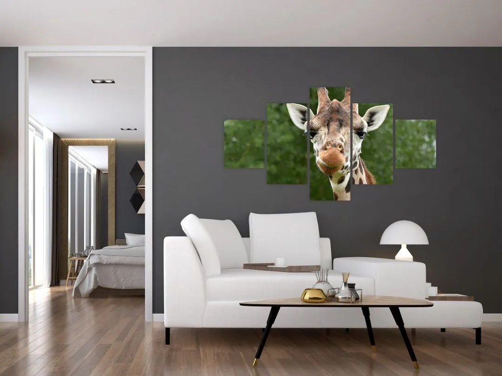 Obraz żyrafy (125x70 cm)