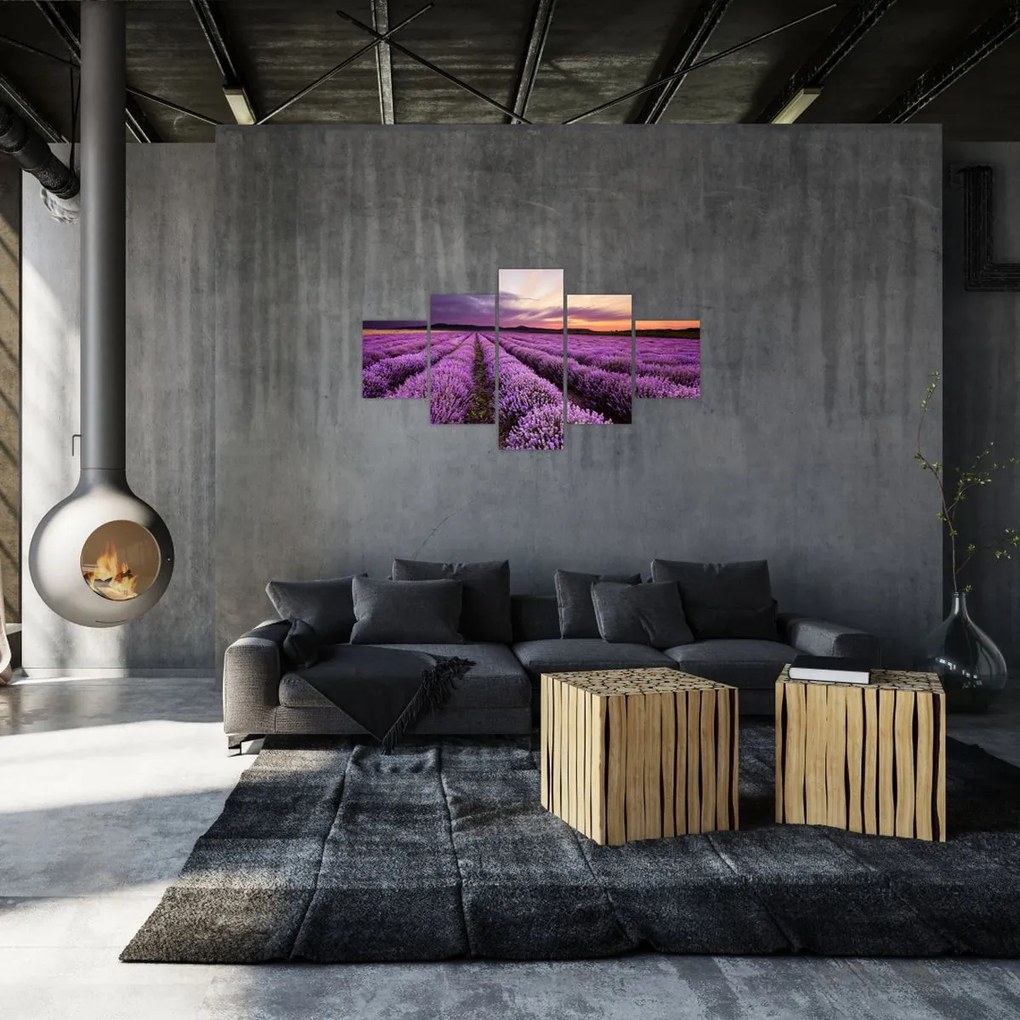Obraz - Pole lawendy o zachodzie słońca (125x70 cm)