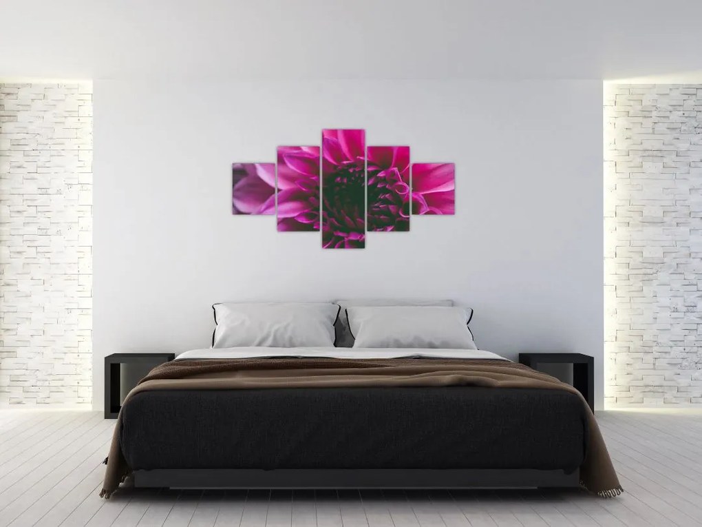 Obraz różowego kwiatu róży (125x70 cm)