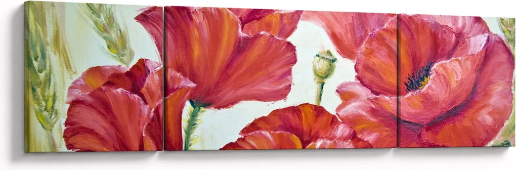 Obraz - Kwiaty maku (170x50 cm)